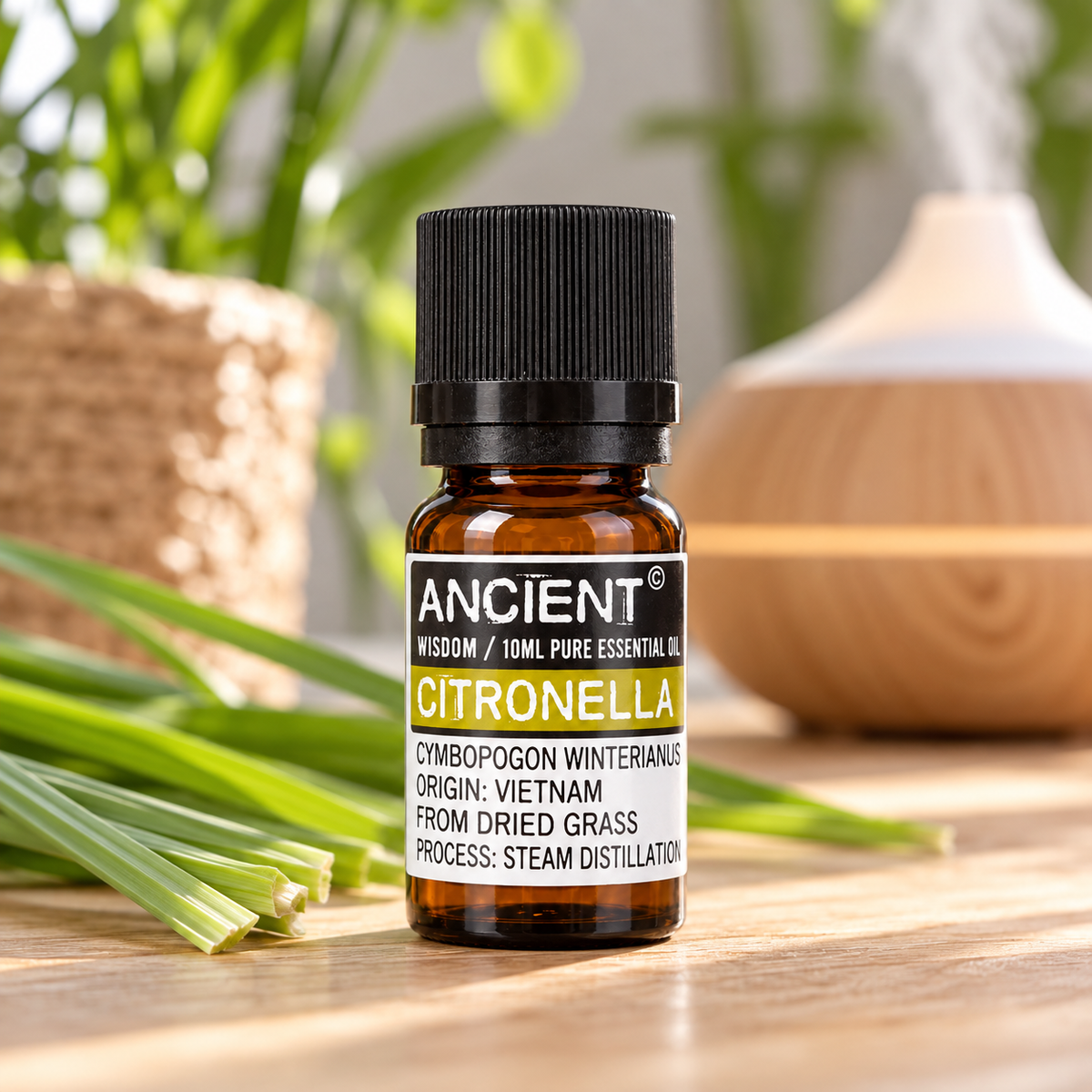 Ancient Wisdom Citronella Pure Essential Oil 10ml